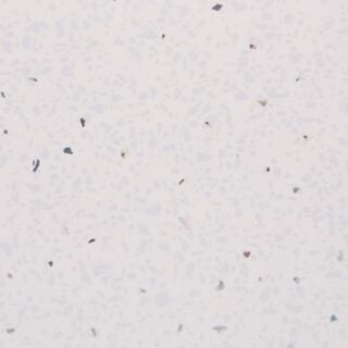 Neptune 1000 White Sparkle Panel 1m x 2.4m