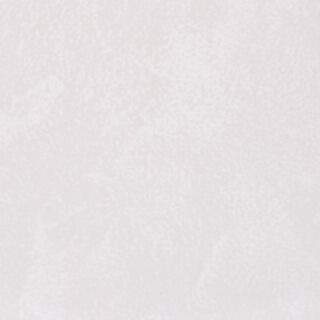 Neptune 1000 Frosty White Panel 1m x 2.4m