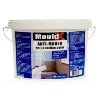 Arc Mouldx Anti-Mould Paint