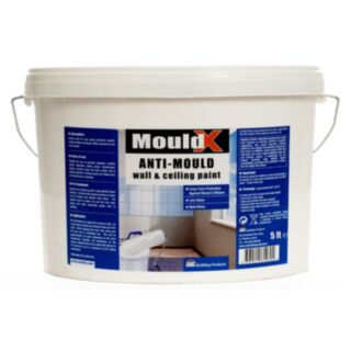 Arc Mouldx Anti-Mould Paint 5ltr
