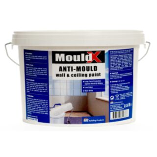 Arc Mouldx Anti-Mould Paint 5Ltr